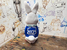 Load image into Gallery viewer, Peterborough United rabbit 2025 shirt with vertu trophy winners 2025 on the back with woolly hat
