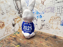 Load image into Gallery viewer, Birmingham City rabbit 2025 shirt with league one champions 2025 on the back
