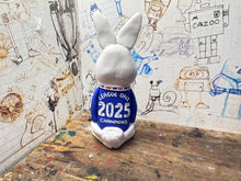 Load image into Gallery viewer, Birmingham City rabbit 2025 shirt with league one champions 2025 on the back
