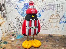 Load image into Gallery viewer, Lincoln city Penguin 2025/26 shirt with woolly hat
